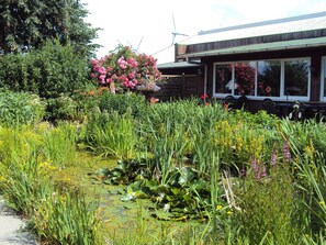 Un jardín con nenúfares, diversas plantas y un edificio con amplios ventanales.