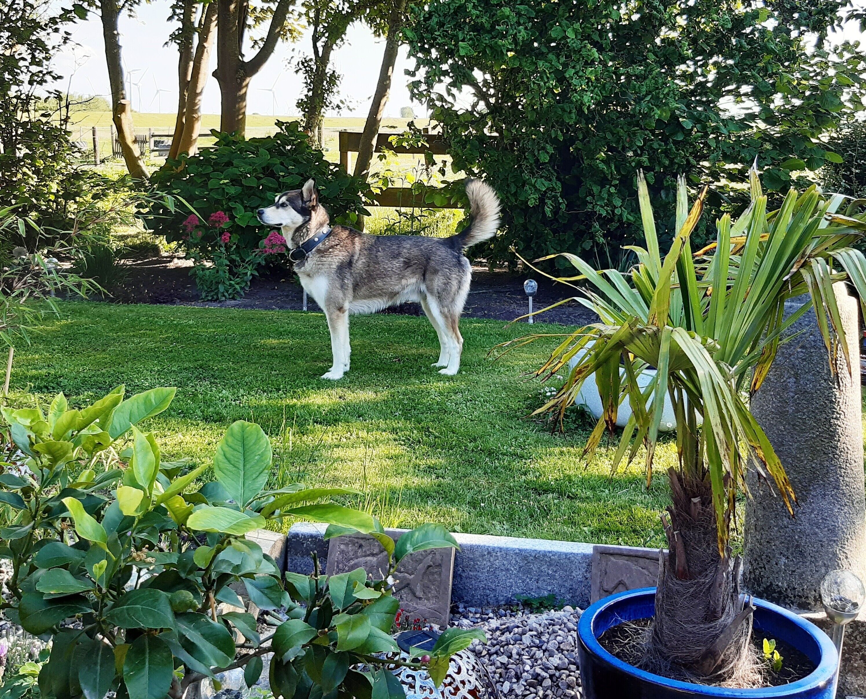 Áreas de la propiedad