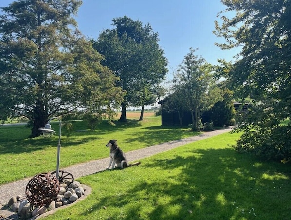 Un chien est assis sur un sentier herbeux, dans un cadre verdoyant avec des arbres et une sculpture métallique.