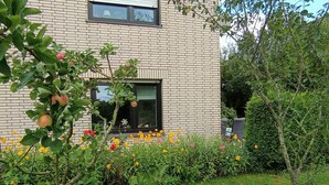 Um edifício moderno com fachada de tijolos, uma janela e um jardim com diversas plantas e flores.