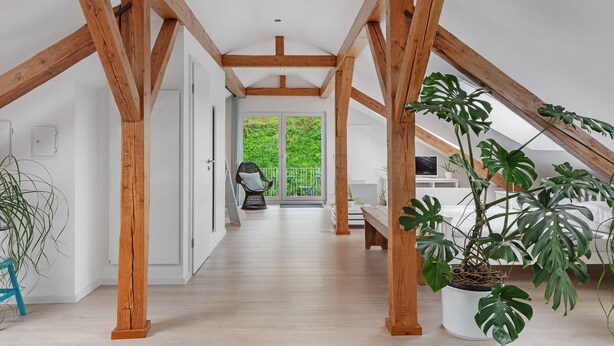 A high-ceilinged room with exposed wooden beams, a large potted monstera plant, and a view of a balcony with greenery.