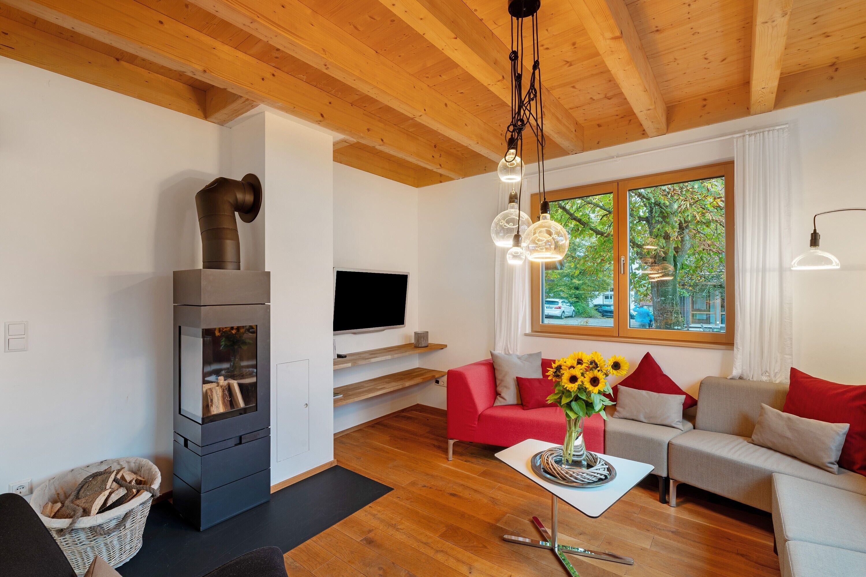Fernseher