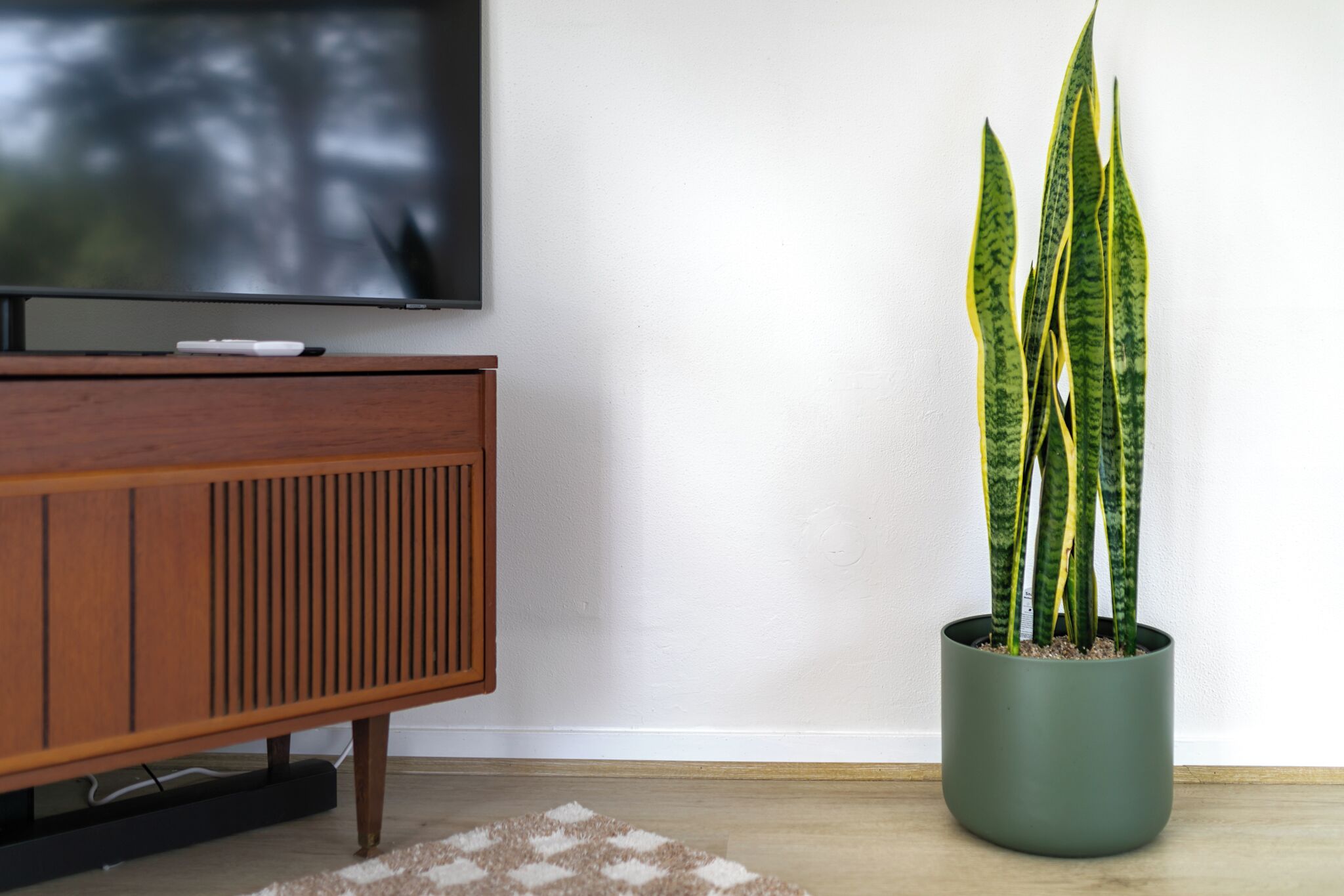 Un salon moderne avec un meuble en bois, un téléviseur à écran plat et une plante en pot.