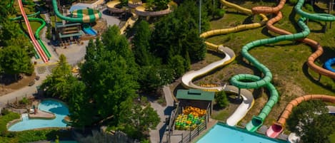 Apartment | 1 bedroom