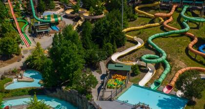 Modern Style Peaceful Tranquility Pet Friendly