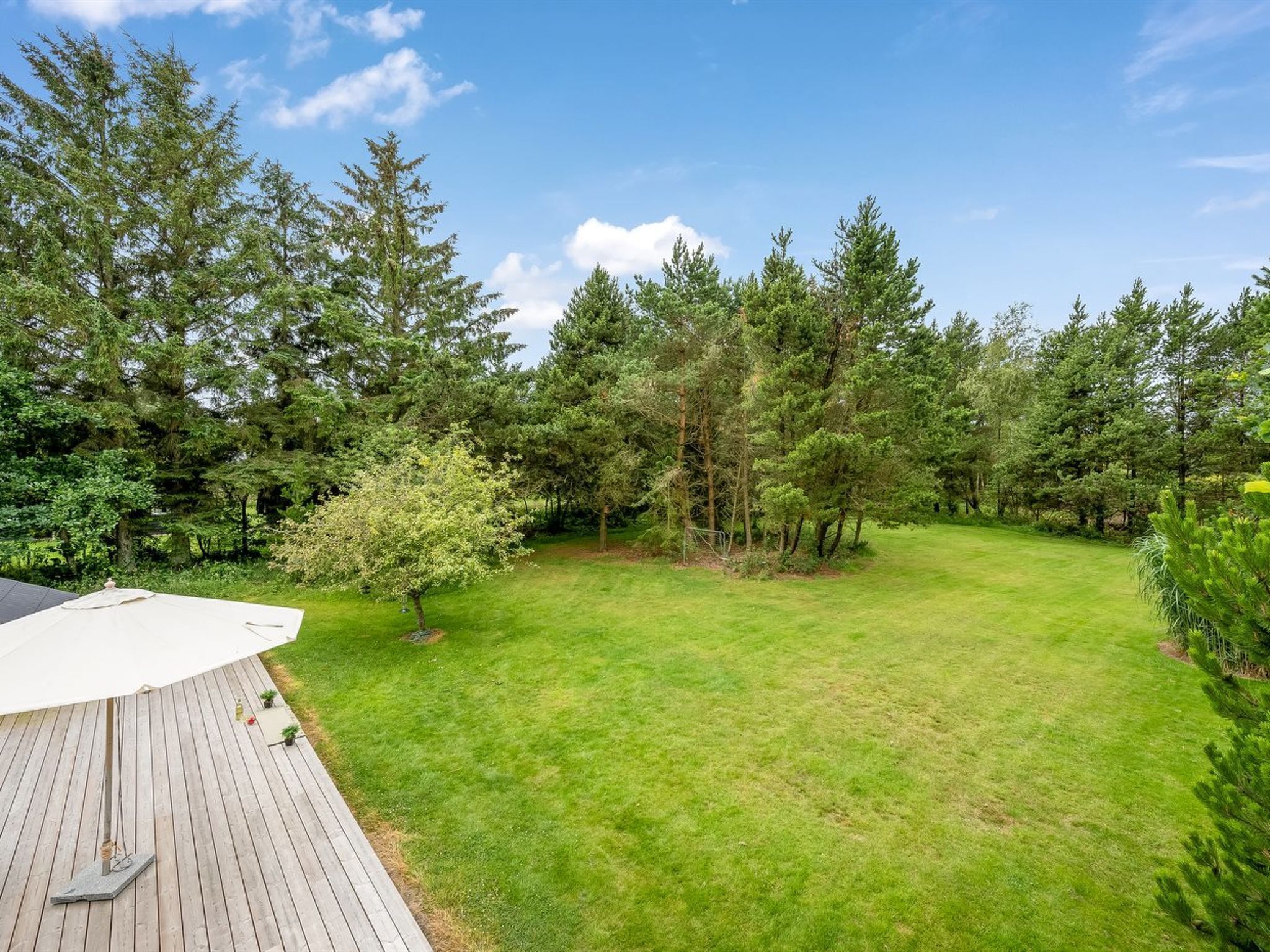 Un jardin avec une terrasse en bois, un petit arbre et une pelouse verdoyante, le tout entouré de grands arbres.