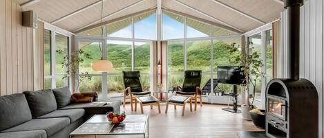 Télévision, cheminée