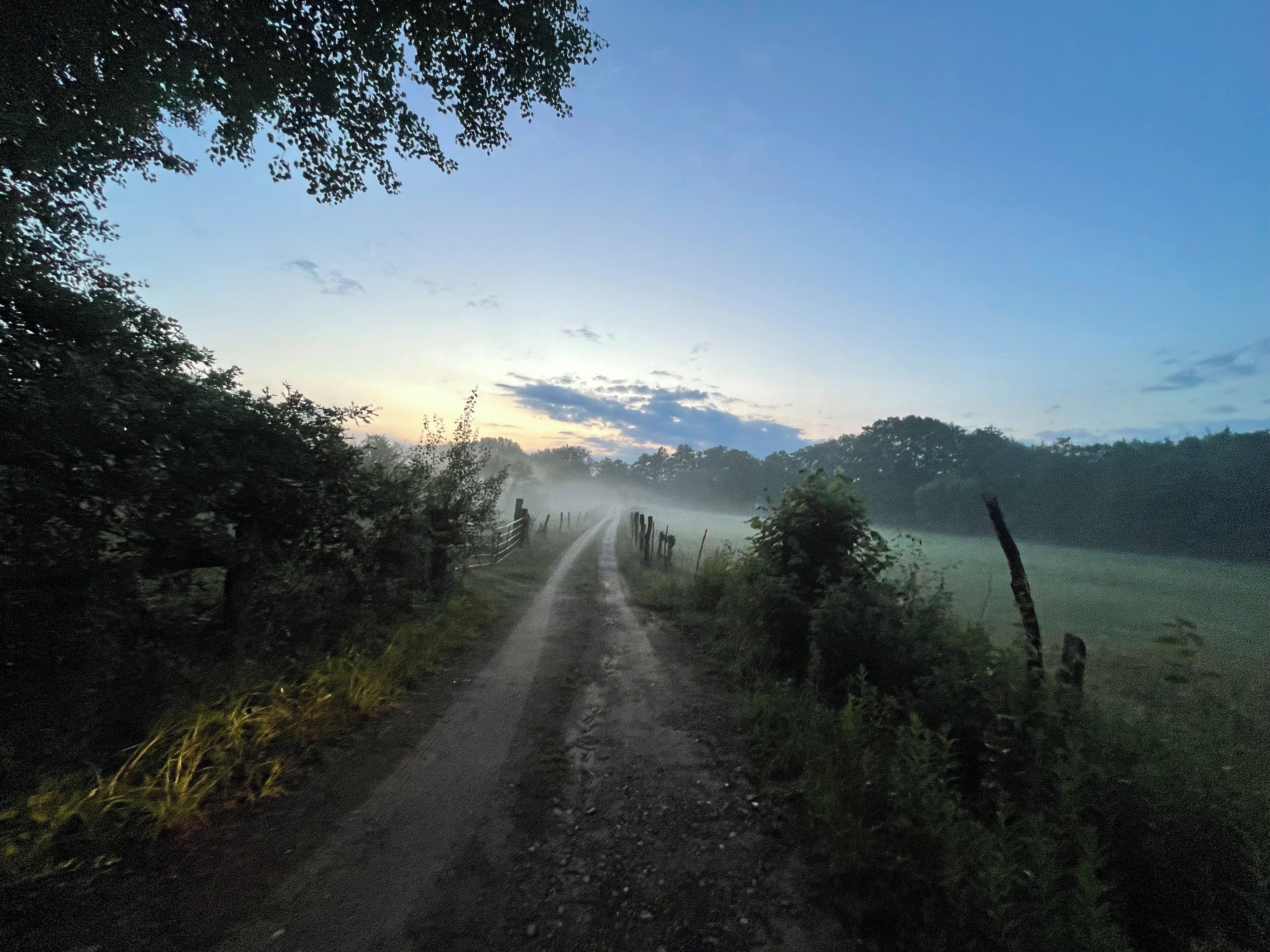 Una strada sterrata in campagna, costeggiata da alberi e da una recinzione, che si dirige verso un campo.
