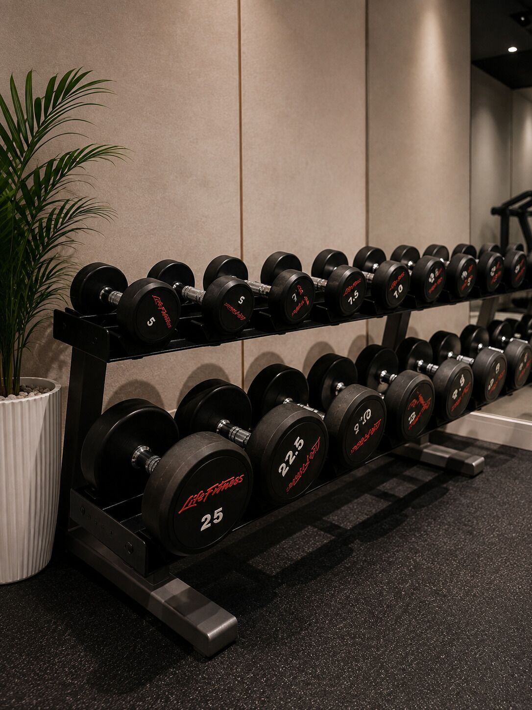 Un estante para pesas con mancuernas, una planta en maceta y un gimnasio.