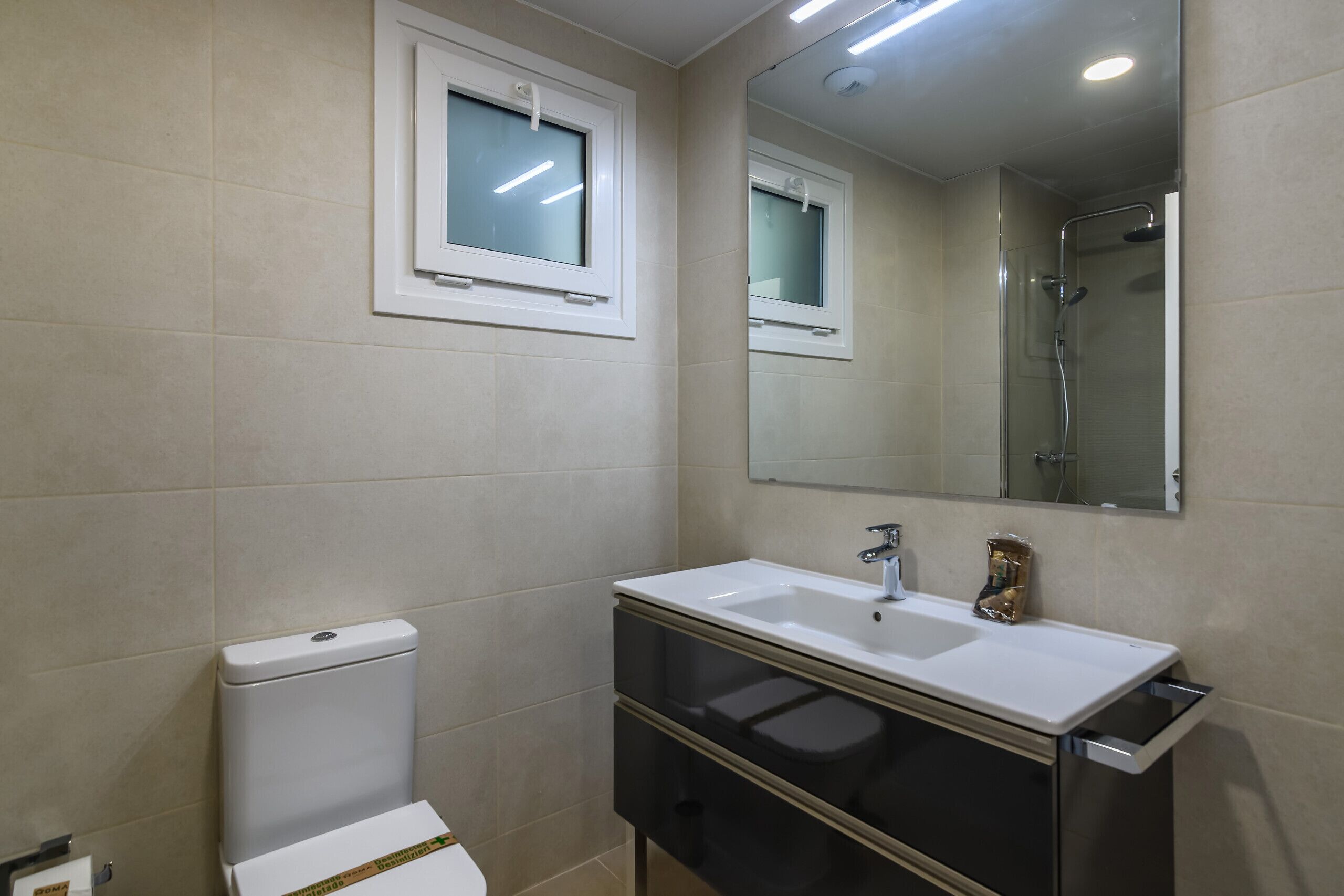A bathroom with a toilet, a sink, a mirror, and a shower.