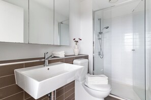 Shower, hair dryer, towels