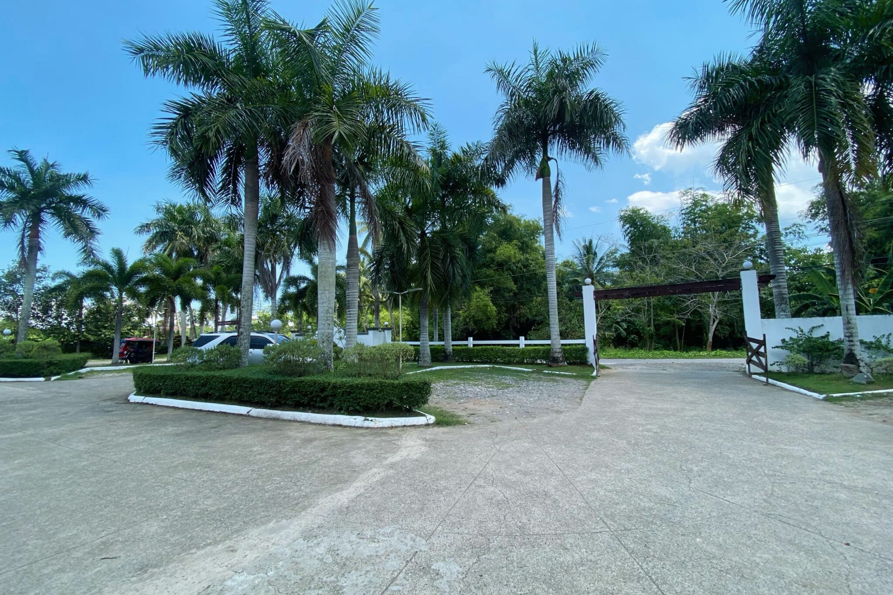 A paved parking area with palm trees and a white fence.