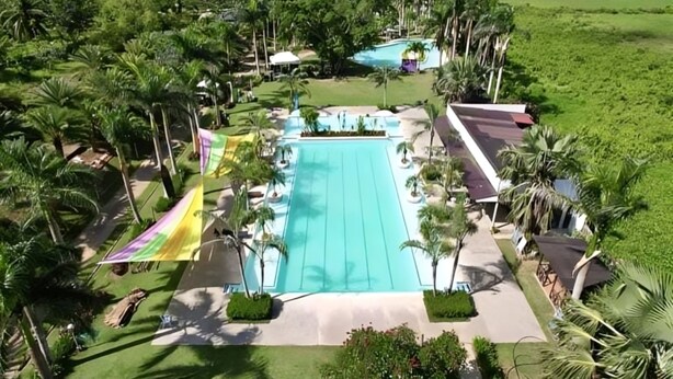 Una gran piscina rodeada de palmeras y césped.