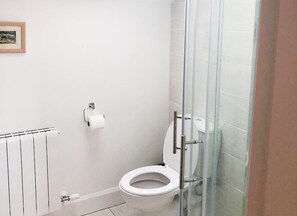 A bathroom with a toilet, a glass shower enclosure, and a radiator. - Bell View Holiday Home Sheeps Head (Kilcrohane)