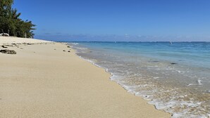 Ein Strand mit klarem Wasser, sandigem Ufer und einigen Bäumen.