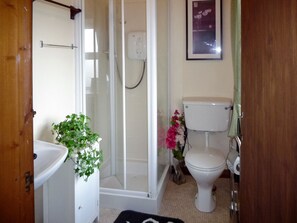 A bathroom with a shower, toilet, sink, and a potted plant. - Bridies Holiday Cottage Roundstone (Inishnee)