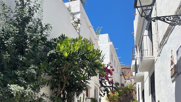 A narrow street with white buildings, a staircase, and potted plants. - Casa del Patio PdV (El Pinar)