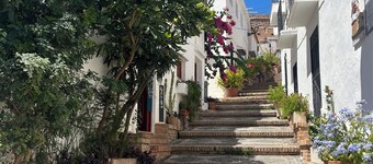 คาซา เดล พาทิโอ พีดีวี