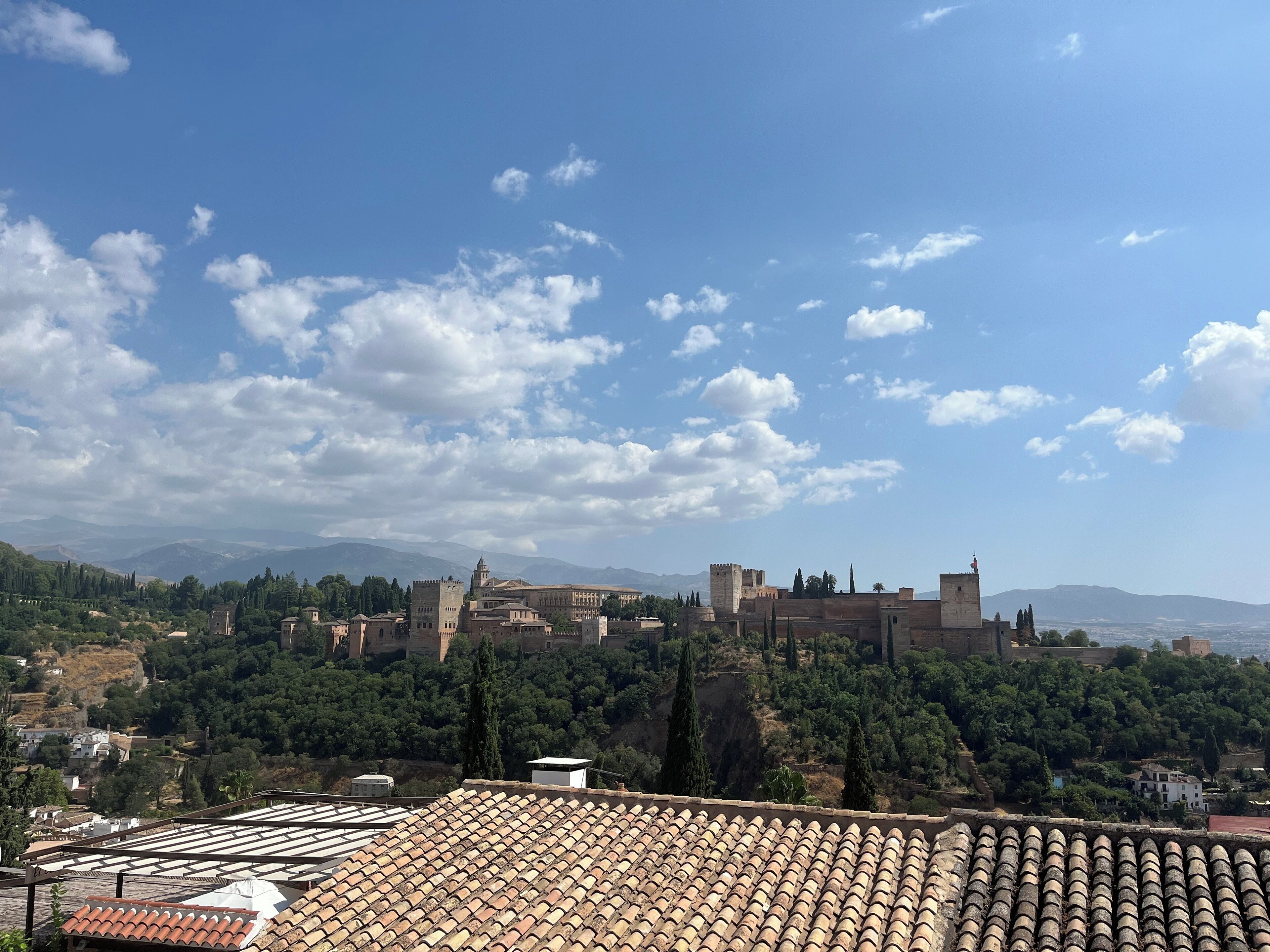 A historic cityscape with a prominent castle and surrounding greenery.