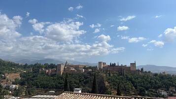 A historic cityscape with a prominent castle and surrounding greenery.