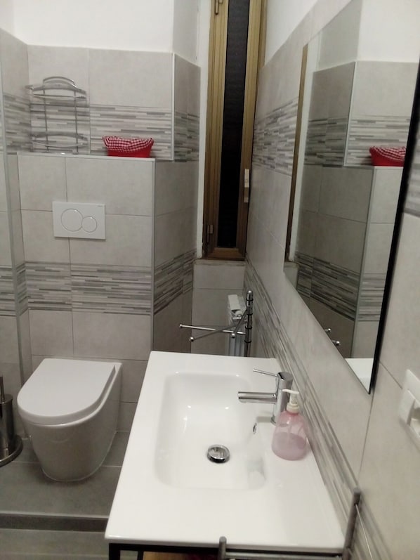 Shower, hair dryer, bidet, towels