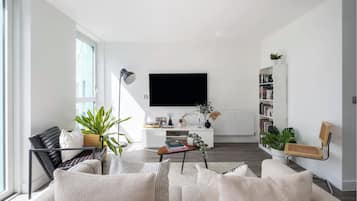Smart TV, books, computer monitors