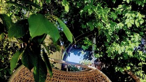 A wicker chair with a cushion and a laptop, set in a garden with dense foliage and a wooden structure in the background. - Annette's Place, Greenwich (London) - Garden Apartment (close to the O2 Arena) (London)