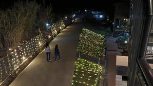 A pathway lined with decorative lights, a paved road, and a building with a balcony. - TETHYS HIMALAYA (Pachhad)