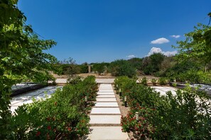 Garden - 4147 Villa Daversa by Barbarhouse (Manduria)