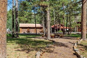 Unclassified image, 2 of 41, button