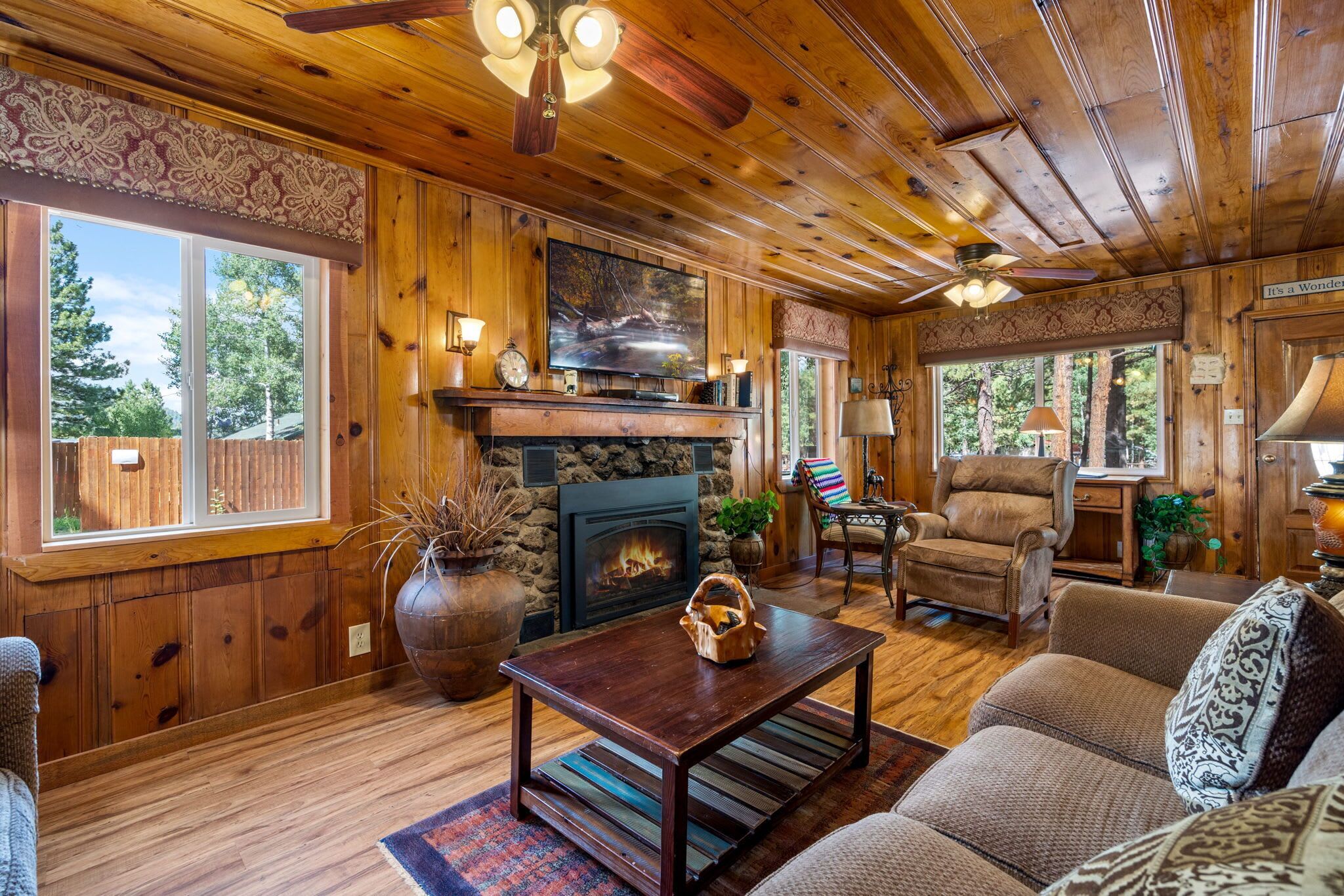 电视、壁炉、DVD 播放器