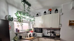 Cozinha compacta com armários brancos, micro-ondas, chaleira e pia. Há uma janela com vista para o exterior, e uma planta pendurada no teto.
