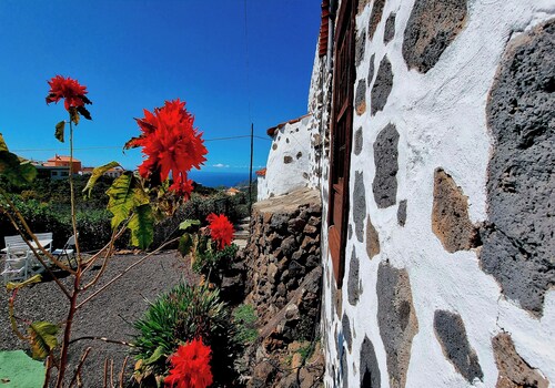 Sombrero de Pico A en el Paso, La Palma. Piscina Compartida