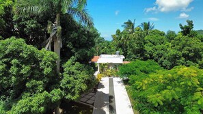 Área da propriedade