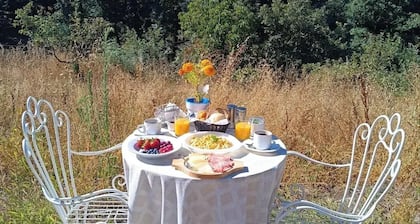 Alquilo Habitacion Quintana del Castillo