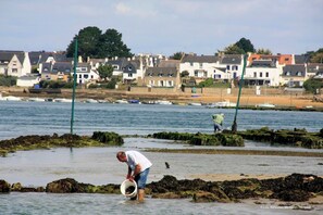 A coastal scene with a man collecting seaweed from the shore.