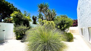A courtyard with a variety of plants, including a prominent tree and a tall palm. - Villa Punique Villa Exceptionnelle Avec vue mer (Carthage)