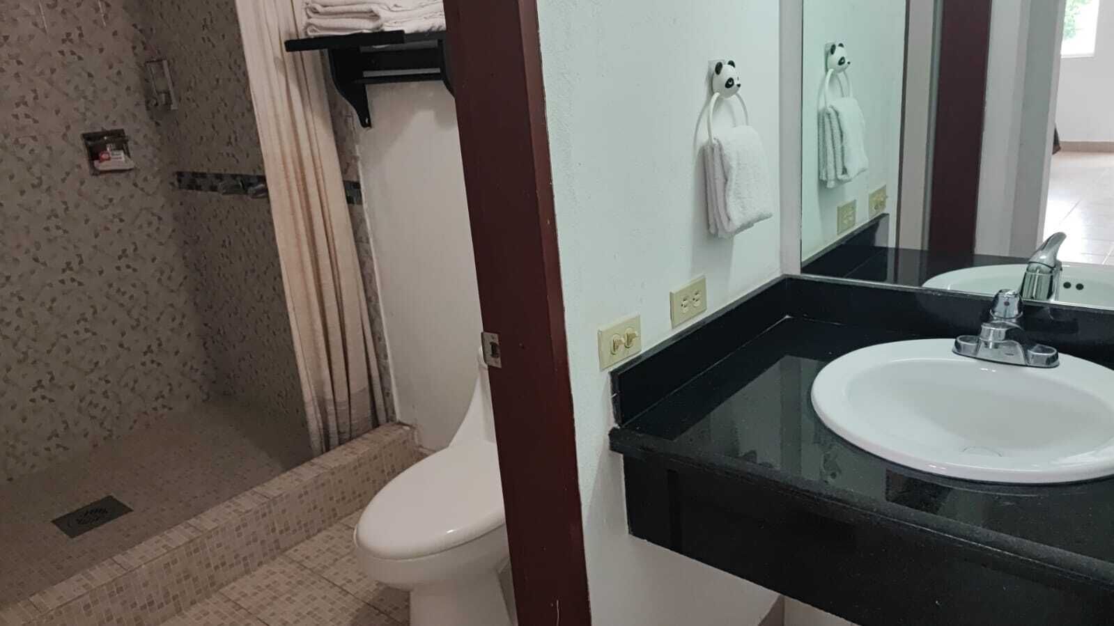 Une salle de bain comprenant des toilettes, un lavabo avec un miroir et un espace douche.