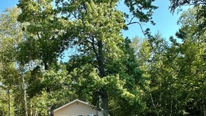 A two-story house with a balcony, surrounded by trees and a body of water. - Pointview Cottage *A/C* overlooking Crooked Lake (Manistique)
