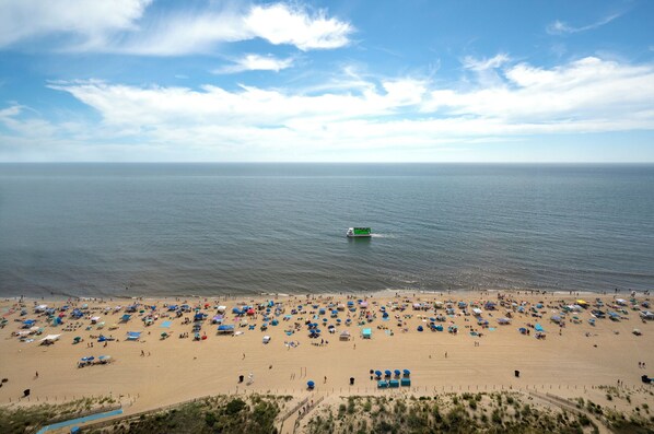A beach with numerous umbrellas and people.