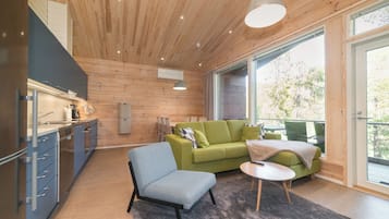 Smart-TV, Kamin