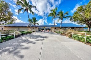 Property grounds - 2 Bedroom Lido Key Condo by FVC (Sarasota)