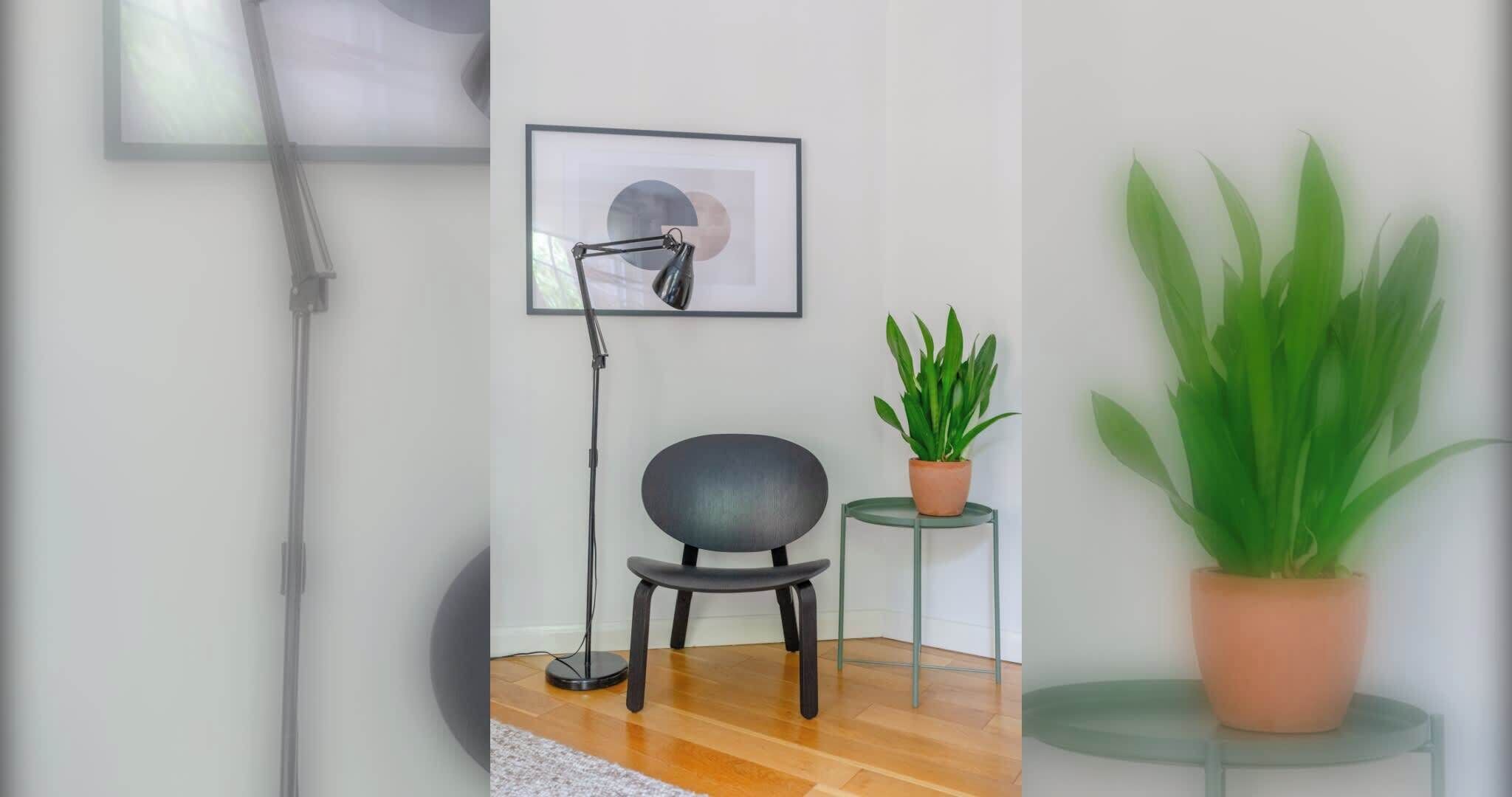 A room with a standing lamp, a framed picture, a potted plant, and a chair.