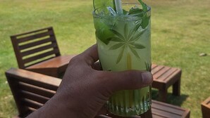 A hand holding a glass with a straw, containing a green drink with lime and mint, on a grassy area with wooden chairs and palm trees in the background.