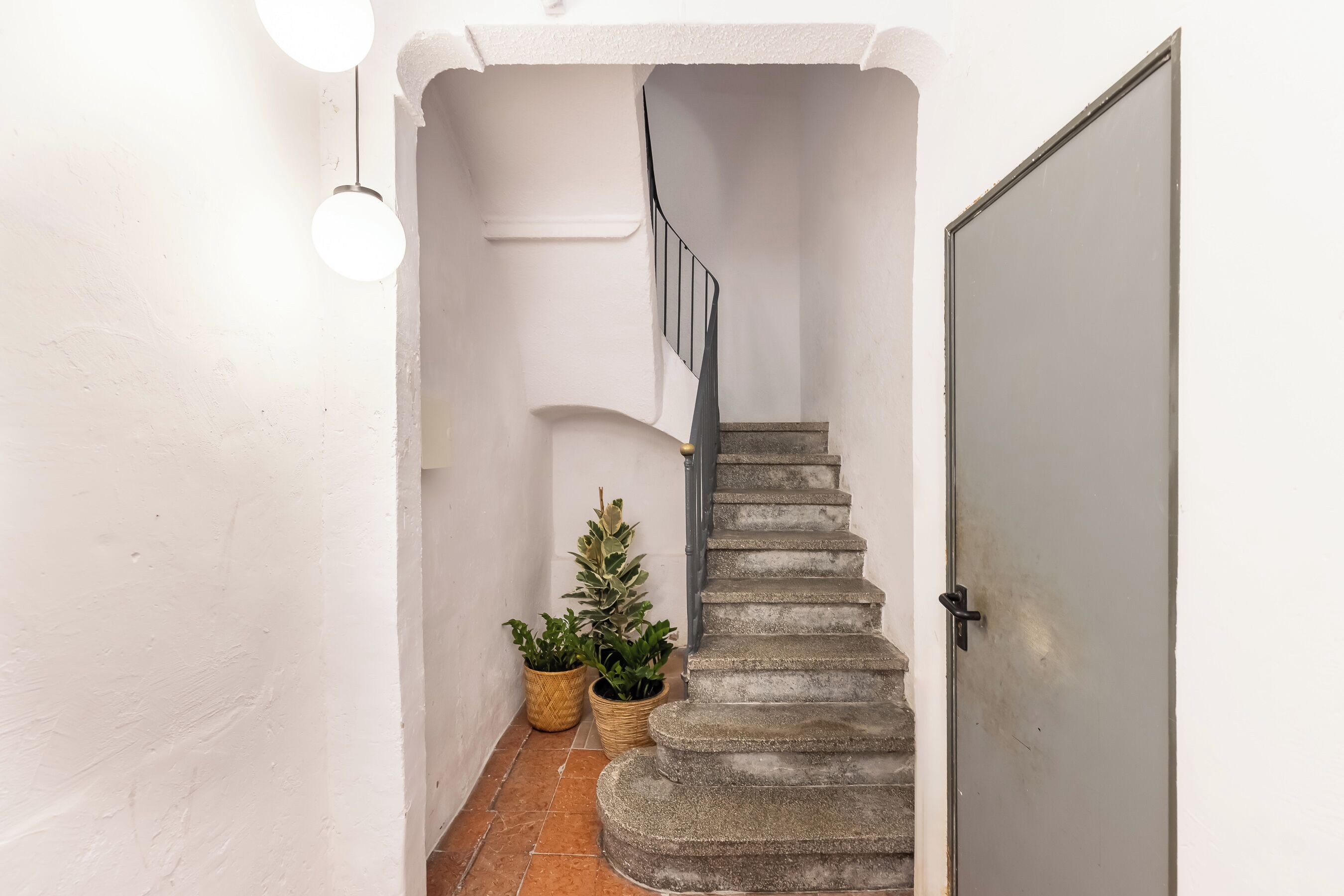 Un couloir étroit avec un escalier, des murs blancs et deux plantes en pot.