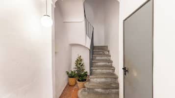 A narrow hallway with a staircase, white walls, and two potted plants.