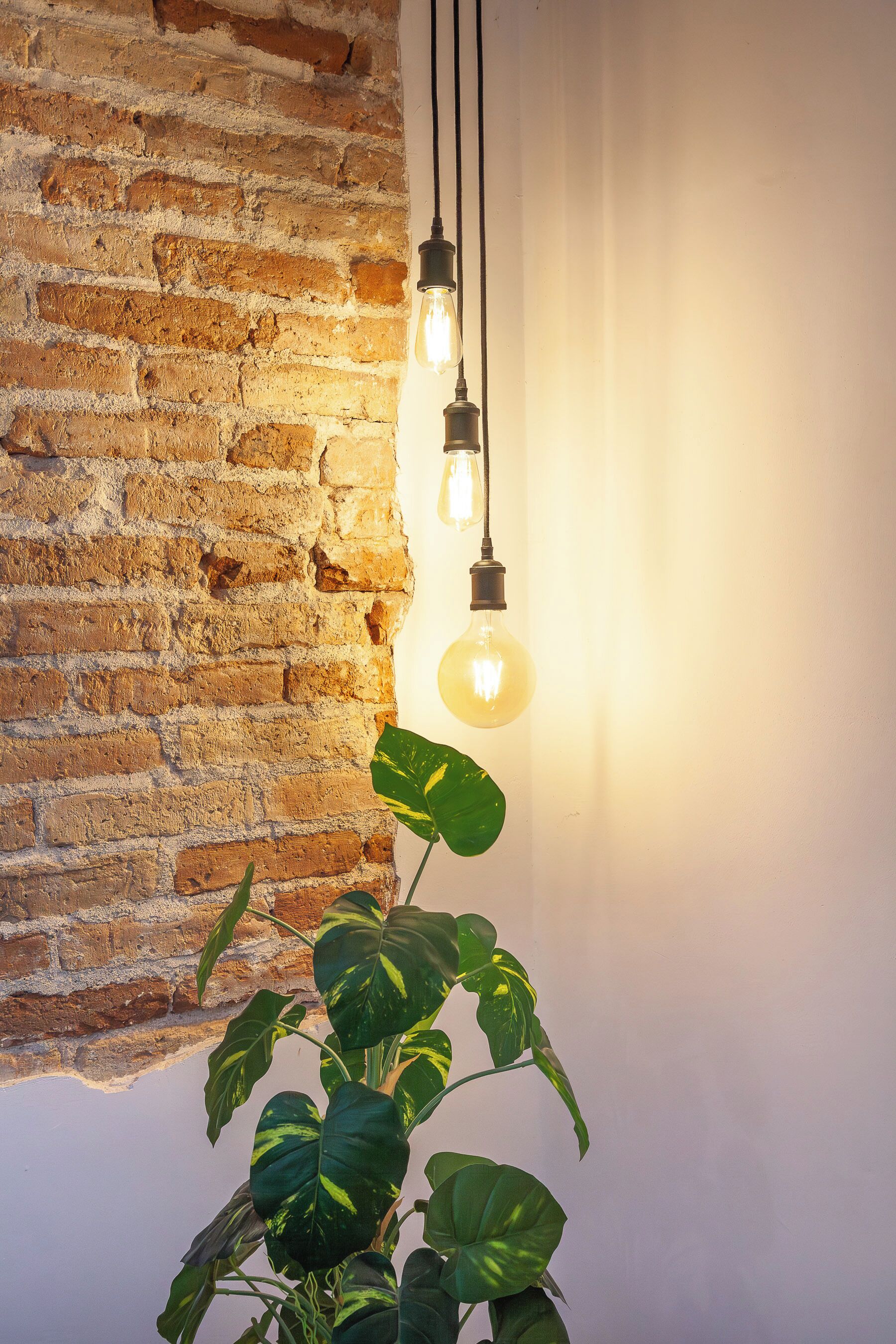 A brick wall with hanging light bulbs and a plant.