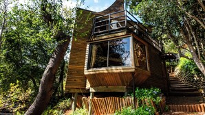 A wooden cabin with a large window and a balcony, surrounded by trees. - Lodge Colbun (Colbún)