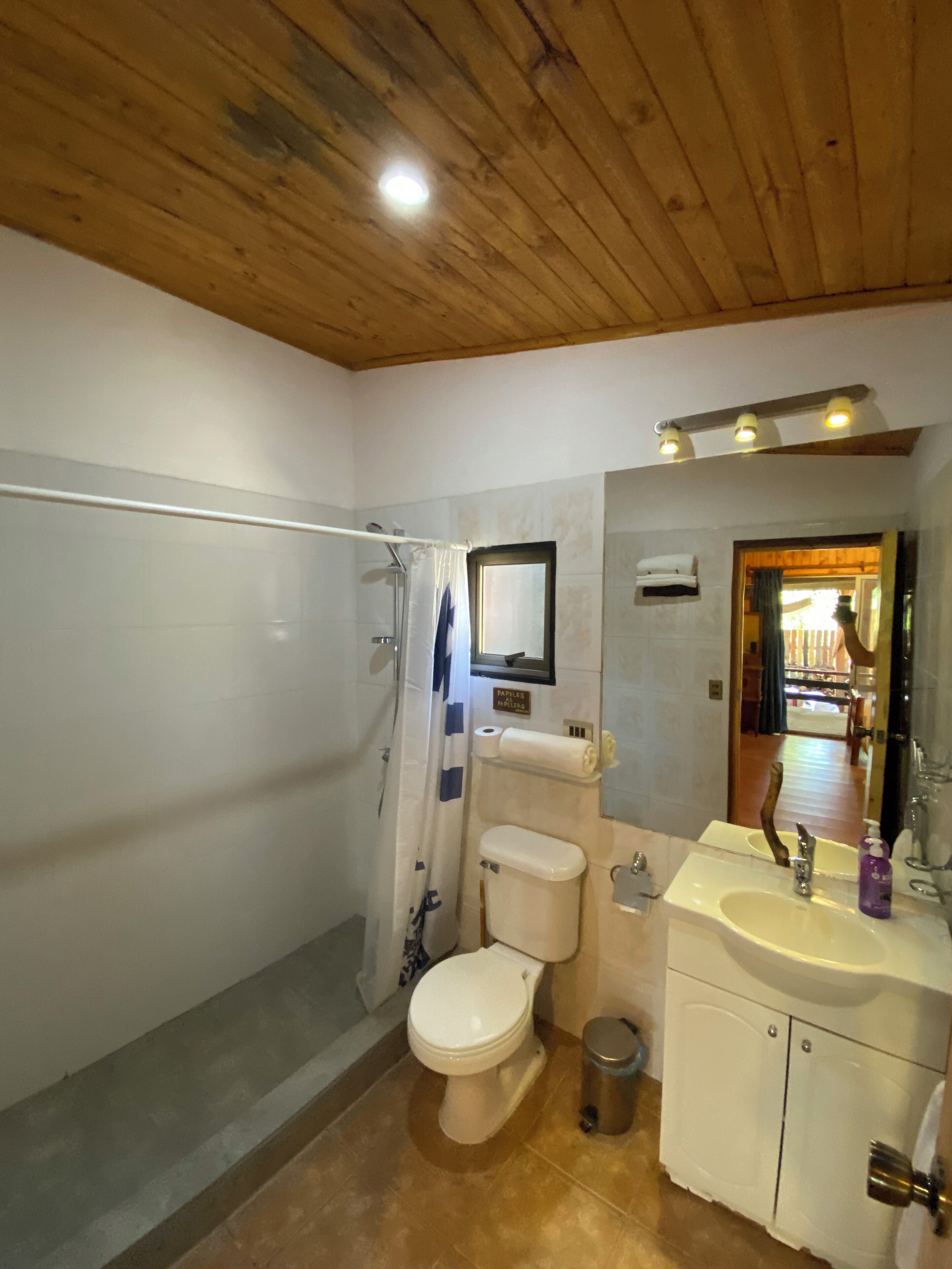 A bathroom with a shower, toilet, sink, and a mirror.