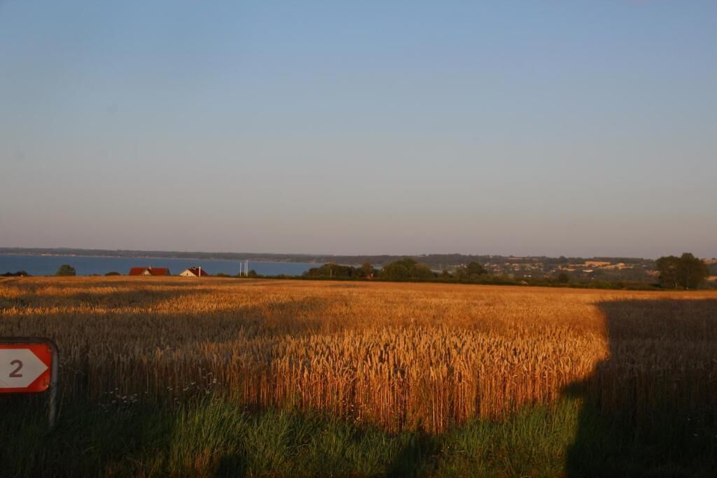 A field with a sign indicating a speed limit of 2.